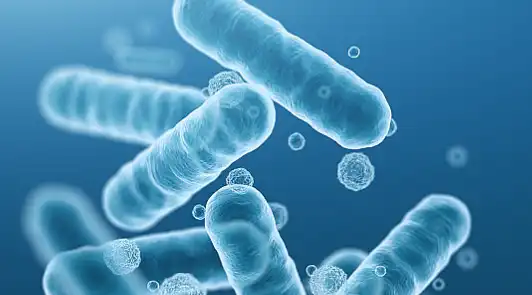 Tannic Acid Powder Tannic Acid Powder