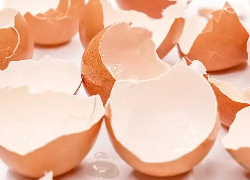 Eggshell Membrane Extract Powder