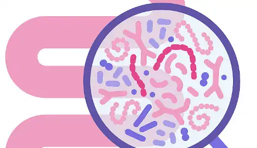 Fucoidan Extract Powder Fucoidan Extract Powder