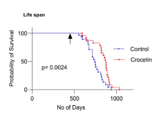 Bulk Saffron Extract Powder Bulk Saffron Extract Powder