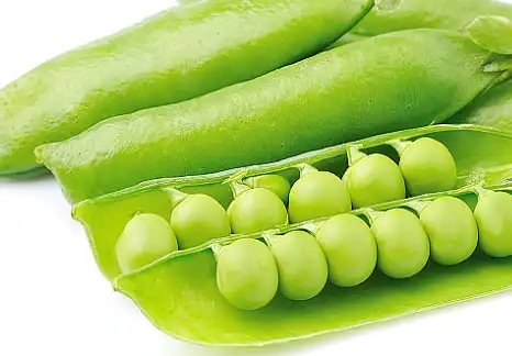 pea fiber powder 