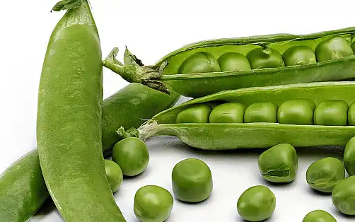 pea fiber powder