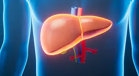 Schisandra Extract Powder Schisandra Extract Powder