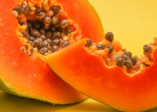 Papain Powder Bulk Papain Powder Bulk