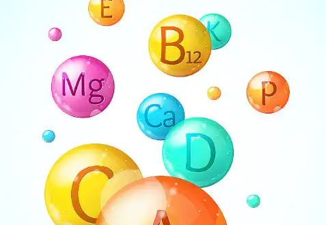 Black Currant Fruit Powder Black Currant Fruit Powder