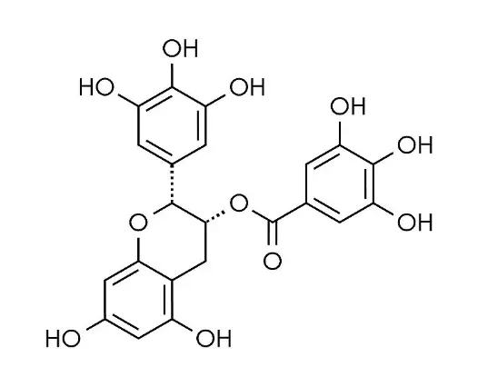 Bulk Oolong tea extract