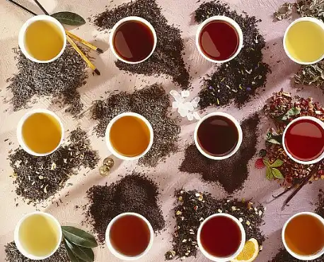 Bulk Oolong tea extract