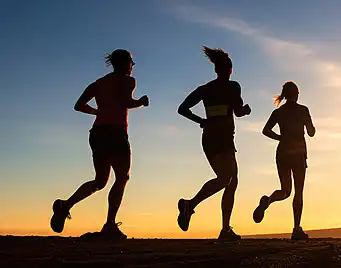 Schisandra Extract Powder Schisandra Extract Powder