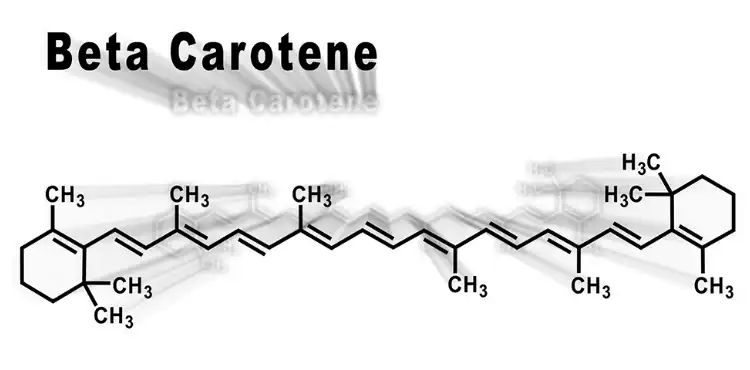 Dunaliella Salina Powder Dunaliella Salina Powder