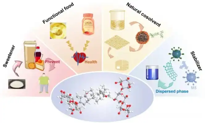 Monk Fruit Extract Powder Monk Fruit Extract Powder