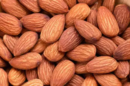 Almond Protein Powder Almond Protein Powder