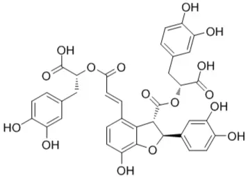 Salvianolic Acid B Powder Salvianolic Acid B Powder