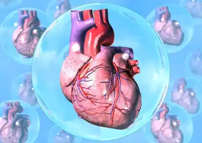 Salvianolic Acid B Powder Salvianolic Acid B Powder