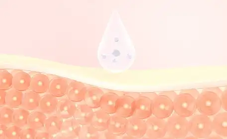 Sodium Hyaluronate Powder Sodium Hyaluronate Powder