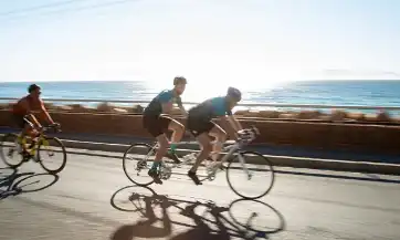 Avocado Soybean Unsaponifiables Powder Avocado Soybean Unsaponifiables Powder