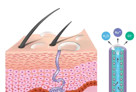 Bulk Ivy Leaf Extract Bulk Ivy Leaf Extract