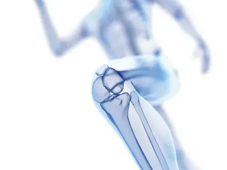 Avocado Soybean Unsaponifiables Powder Avocado Soybean Unsaponifiables Powder