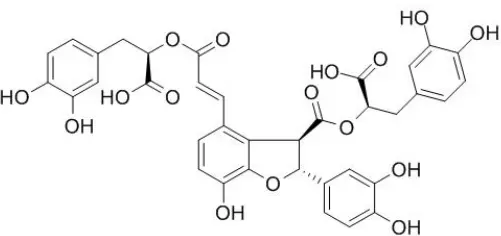 Salvianolic Acid B Powder Salvianolic Acid B Powder