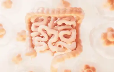 Papain Powder Bulk Papain Powder Bulk