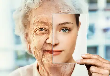 Bacopa Monniera Extract Powder Bacopa Monniera Extract Powder