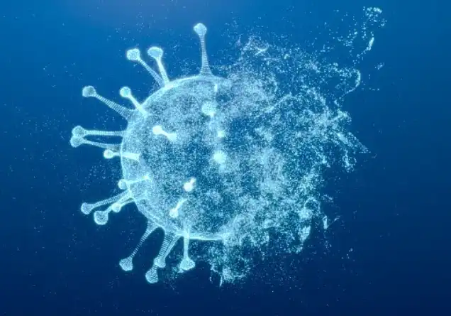 Bulk Thymol Bulk Thymol