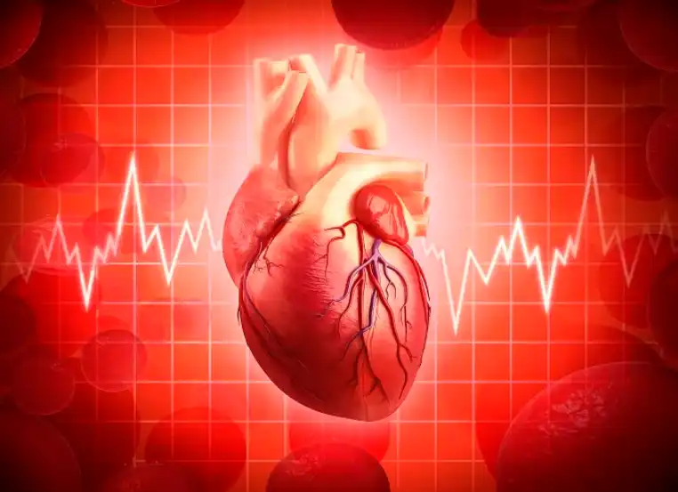 Tartary buckwheat extract Tartary buckwheat extract