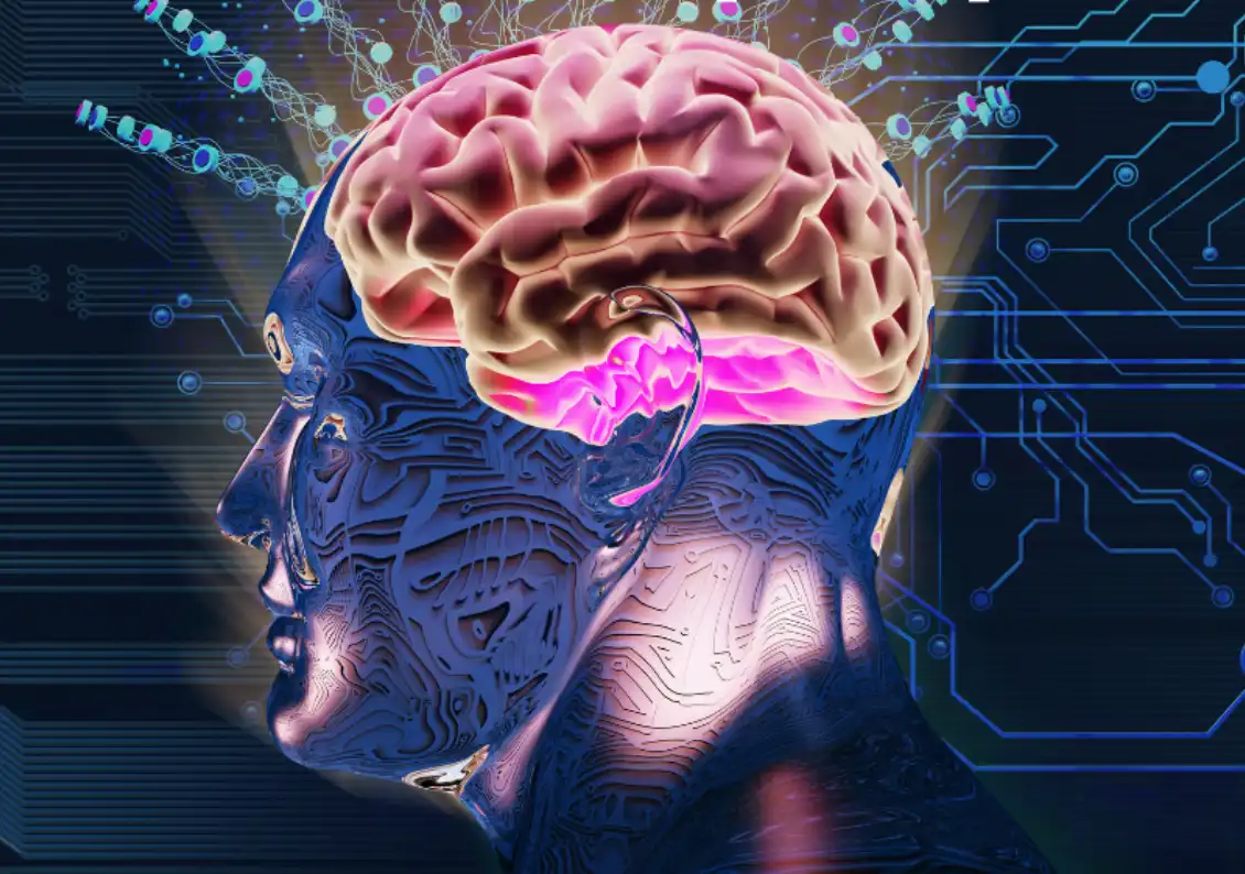 Uridine Monophosphate Powder Uridine Monophosphate Powder