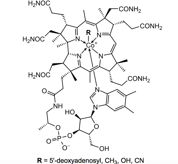 Bulk Organic Spirulina Powder Bulk Organic Spirulina Powder