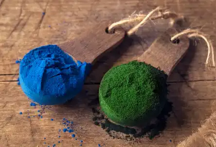 Bulk Organic Spirulina Powder Bulk Organic Spirulina Powder