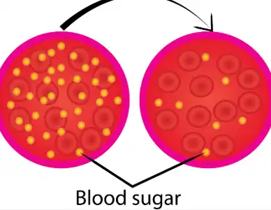 Bulk Organic Spirulina Powder Bulk Organic Spirulina Powder