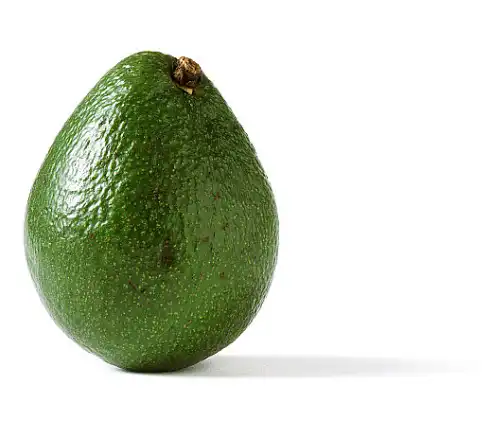 Bulk Avocado Soybean Unsaponifiables Bulk Avocado Soybean Unsaponifiables