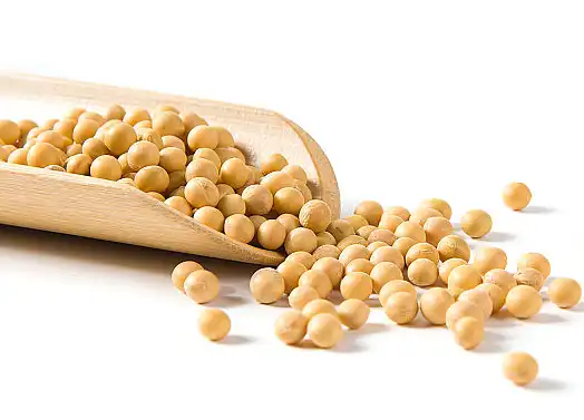Bulk Avocado Soybean Unsaponifiables