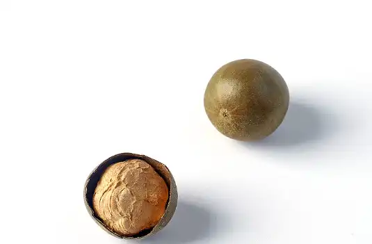 Monk Fruit Extract Powder
