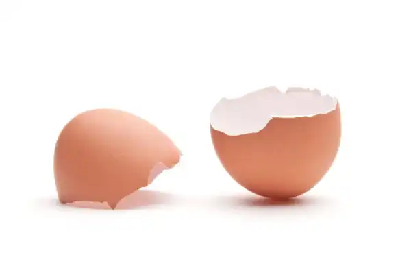 Eggshell Membrane Extract Powder Eggshell Membrane Extract Powder