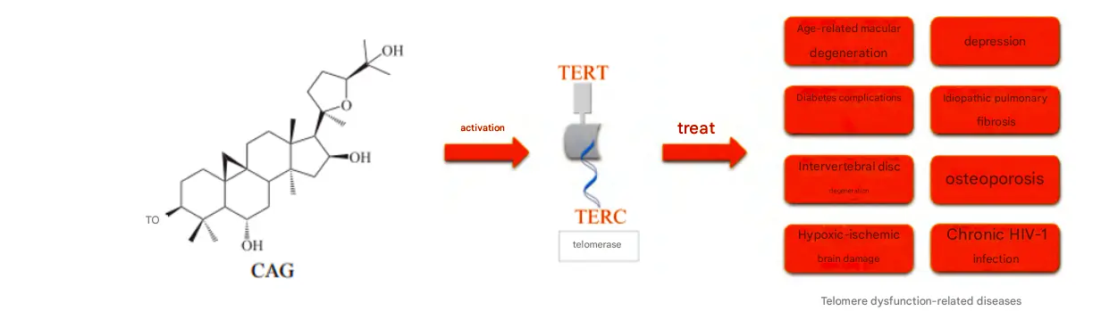 CAG Cycloastragenol CAG Cycloastragenol