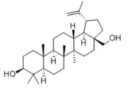 Birch Bark Extract Powder Birch Bark Extract Powder