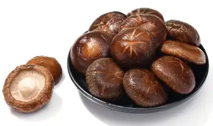 Shiitake Mushroom Powder Bulk Shiitake Mushroom Powder Bulk