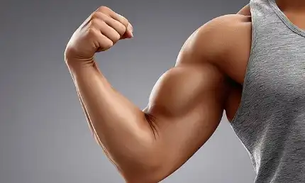 Bulk Magnesium Malate Bulk Magnesium Malate