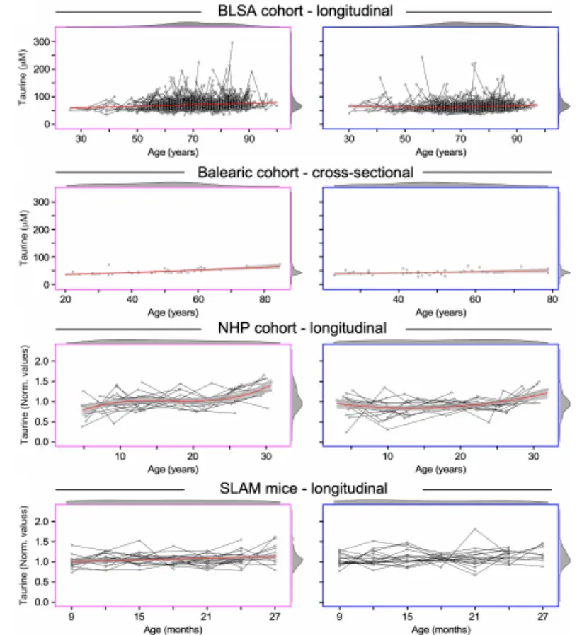 Pure Taurine Powder Pure Taurine Powder