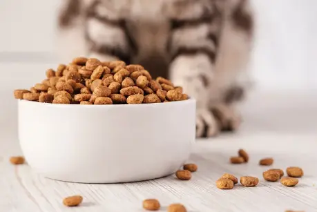 Pure Taurine Powder Pure Taurine Powder