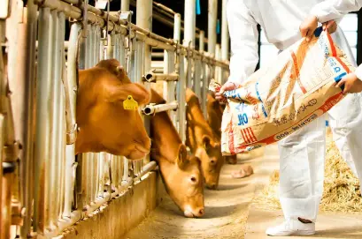 Pure Taurine Powder Pure Taurine Powder