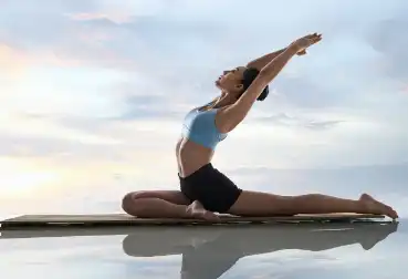 Shiitake Mushroom Extract Powder Shiitake Mushroom Extract Powder