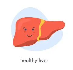 Shiitake Mushroom Extract Powder Shiitake Mushroom Extract Powder