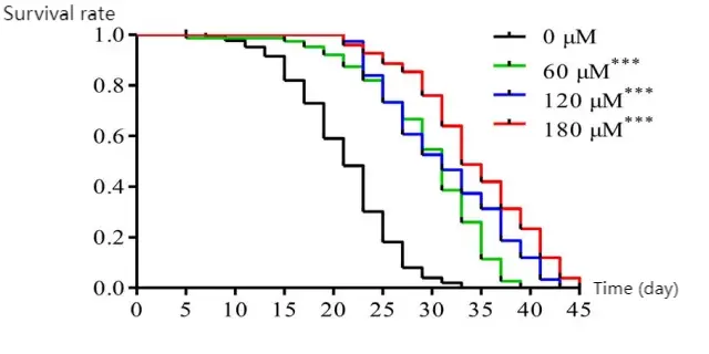Rosemary Extract Rosmarinic Acid Rosemary Extract Rosmarinic Acid