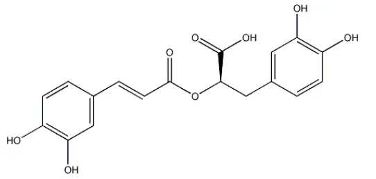 Rosemary Extract Rosmarinic Acid
