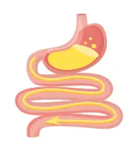 Oryzanol 99% Oryzanol 99%