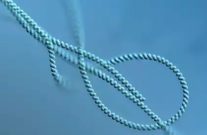 Blue Spirulina Phycocyanin Powder