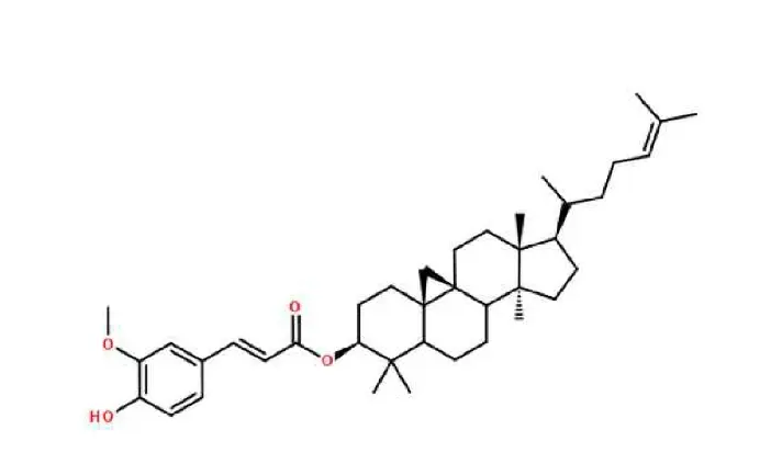 Oryzanol 99% Oryzanol 99%