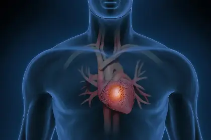 L-Threonic Acid Magnesium L-Threonic Acid Magnesium