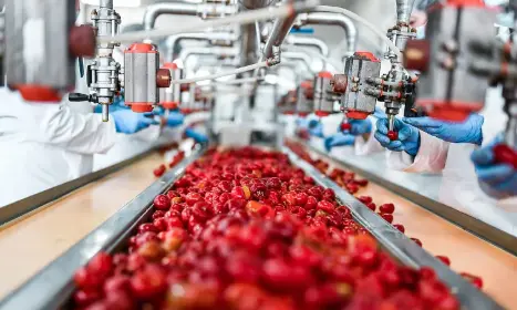 Bilberry Anthocyanins Bilberry Anthocyanins